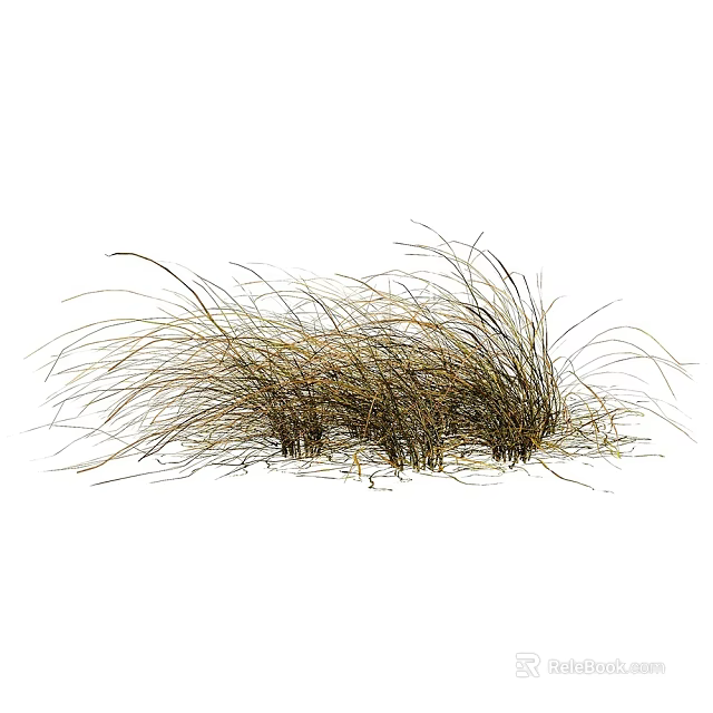 Dried Grass Clump with Wispy Brown Leaves for Garden Decoration 3d model 
