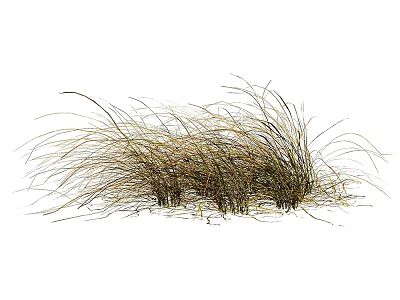 Dried Grass Clump with Wispy Brown Leaves for Garden Decoration 3d model