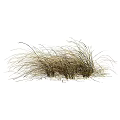 Dried Grass Clump with Wispy Brown Leaves for Garden Decoration