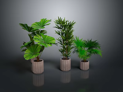 Different Types of Green Potted Plants In Cylindrical Pots Against Gray Background 3d model