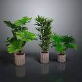 Different Types of Green Potted Plants In Cylindrical Pots Against Gray Background