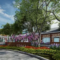 Commercial Landscape Design With Cherry Blossom Trees White Architecture And Outdoor Courtyard