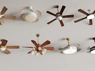 fan chandelier fan light 3d model