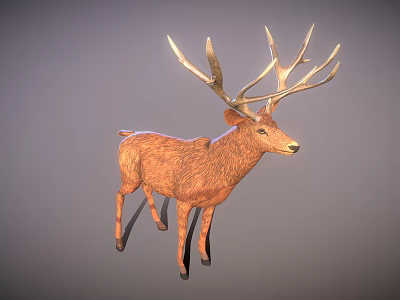 Realistic Brown Reptile Model With Detailed Scales Standing On Gray Background 3d model