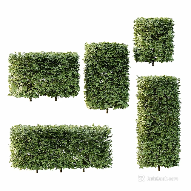 Ornamental Decorative Plant Set Green Hedge in Various Shapes for Home Garden Decoration 3d model 