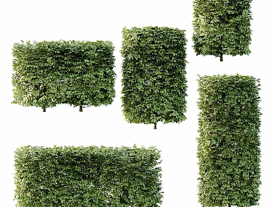Ornamental Decorative Plant Set Green Hedge in Various Shapes for Home Garden Decoration 3d model