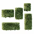 Ornamental Decorative Plant Set Green Hedge in Various Shapes for Home Garden Decoration