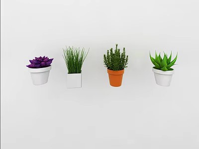 Potted Bonsai Plants With Various Green Purple Foliage And Colored Pots 3d model
