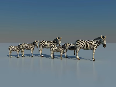 Group of Zebras with Various Sizes Standing on Smooth Light Surface Against Blue Background 3d model