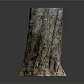 Natural Tree Stump Featuring Textured Bark And Organic Wooden Surface Details