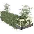 Lush Green Shrubs Growing Along White Railings With Bamboo Plants In Planter Box