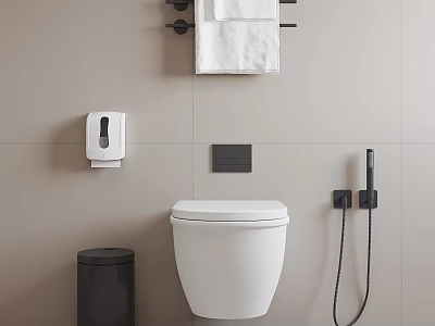 Modern Wall Hung Toilet Bathroom Interior With Soap Dispenser Trash Can And Towel Rack 3d model