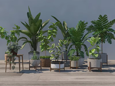 modern potted plant potted plant 3d model