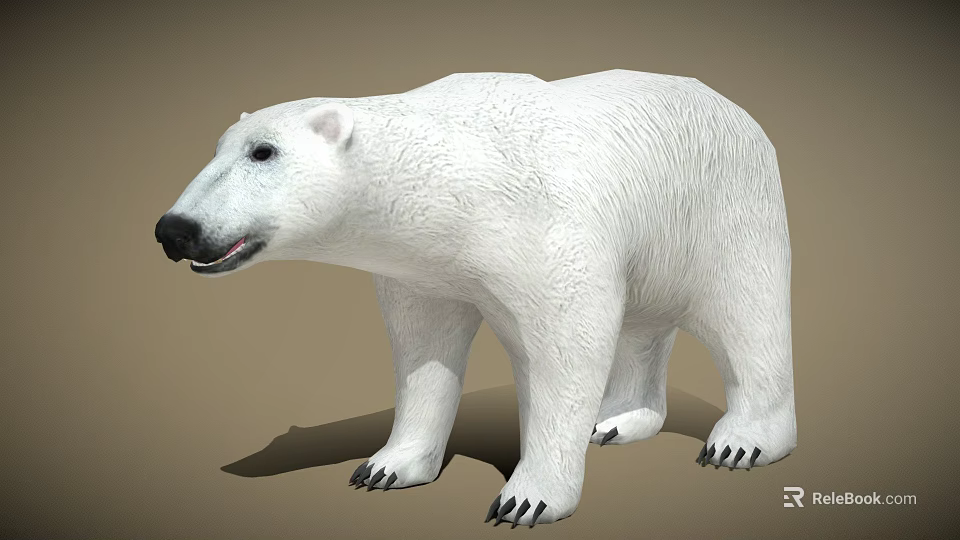 Realistic Polar Bear 3D Model With White Fur And Detailed Claws 3d model 