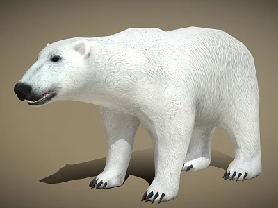 Realistic Polar Bear 3D Model With White Fur And Detailed Claws 3d model