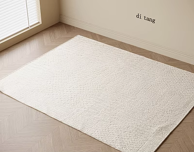 Light Colored Square Rug With Woven Texture On Wooden Floor In Modern Room 3d model
