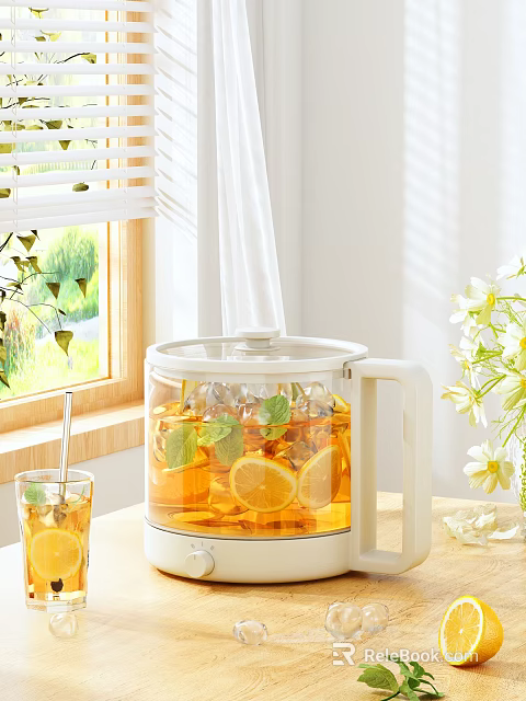Transparent Electric Glass Kettle for Home Tea Making with Ice Mint and Lemon 3d model 