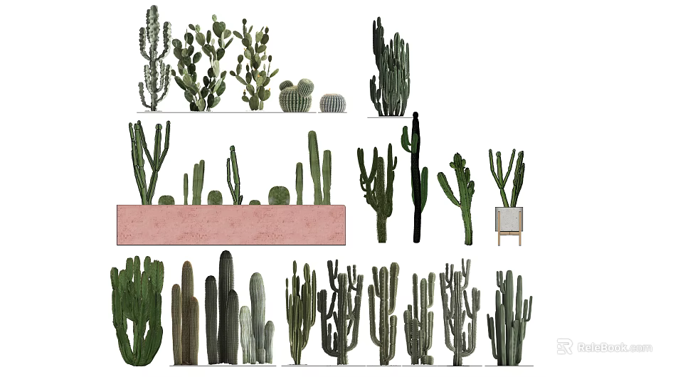 Bonsai Potted Plants Featuring Various Cactus Species Different Sizes For Indoor Decor 3d model 