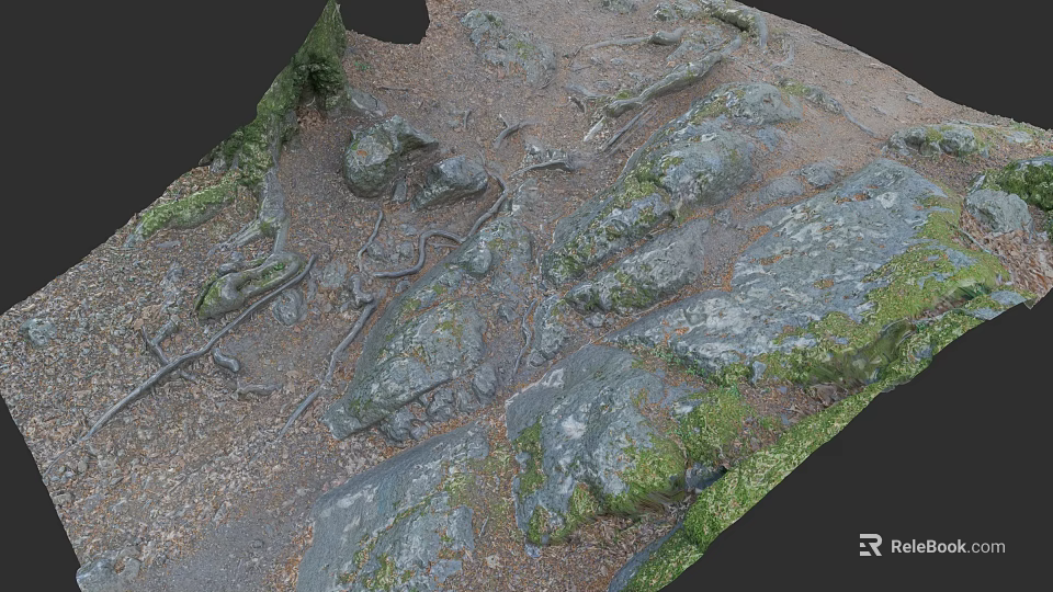 Realistic Micro Terrain With Natural Rocks Moss And Soil Textures 3d model 