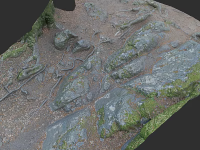 Realistic Micro Terrain With Natural Rocks Moss And Soil Textures 3d model