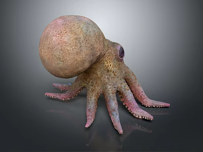 Spotted Brown And Pink Octopus With Bulbous Head Textured Skin And Tentacles On Gray Background 3d model