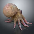 Spotted Brown And Pink Octopus With Bulbous Head Textured Skin And Tentacles On Gray Background