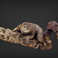 Reptile Lizard With Scaled Skin Resting On Weathered Wooden Log