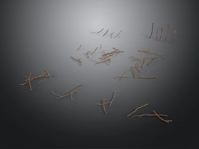 Natural Dried Plant Branches Scattered on Dark Background with Subtle Texture 3d model
