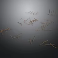 Natural Dried Plant Branches Scattered on Dark Background with Subtle Texture 3d model