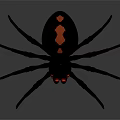 Black Spider With Red Glowing Eyes And Spherical Body Red Patterns Long Thin Legs