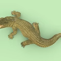 Crocodile with Open Mouth and Rough Textured Skin Lying on Green Background