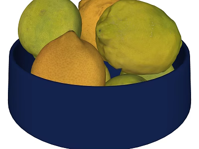 Fresh Citrus Fruits Including Lemons And Oranges In Blue Bowl 3d model
