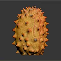 Ripe Kiwano Fruit With Orange Yellow Color And Spiky Surface On Black Background