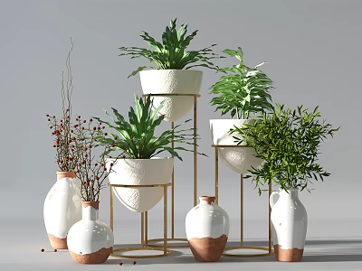 Bonsai Potted Plants With White Brown Pots And Golden Stands Green Foliage 3d model