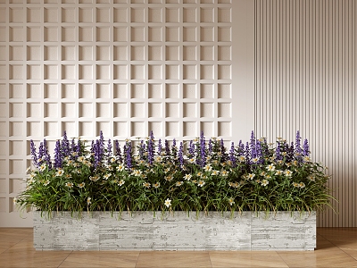 Flower Box Lavender Indoor Plant Pile 3d model