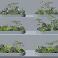 Diverse Plant Combinations In White Oval Planters With Fern Grass Stones On Light Steps
