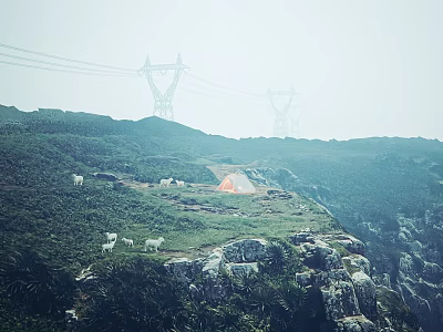 Foggy Hillside With White Sheep Orange Tent Power Towers Rocks And Green Vegetation 3d model