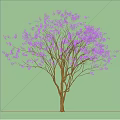 Tree With Purple Flowers Under Blue Sky And White Clouds On Light Colored Ground