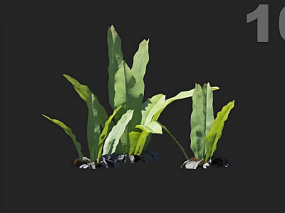 Aquatic Plants With Long Green Leaves And Stone Accents In Water Environment 3d model