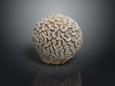 Decorative Furniture Sphere With Intricate Textured Design For Modern Home Decor 3d model