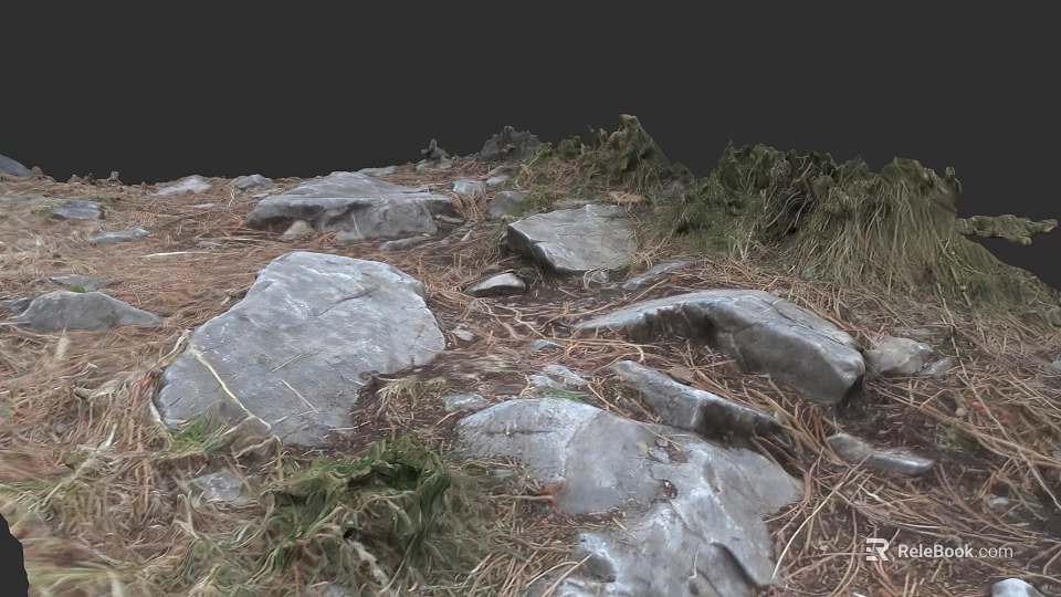 Natural Wood and Stone Elements in Outdoor Setting with Textured Surfaces and Dry Grass 3d model 