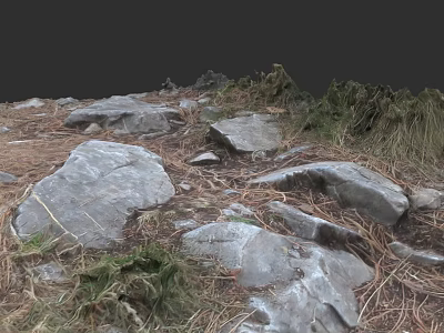 Natural Wood and Stone Elements in Outdoor Setting with Textured Surfaces and Dry Grass 3d model