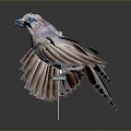 Modern Jay Birds 3d model