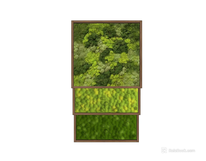 Interior Living Plant Wall Design With Layered Sections Diverse Foliage And Wooden Frame 3d model 