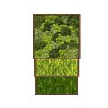 Interior Living Plant Wall Design With Layered Sections Diverse Foliage And Wooden Frame