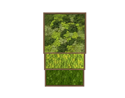 Interior Living Plant Wall Design With Layered Sections Diverse Foliage And Wooden Frame 3d model