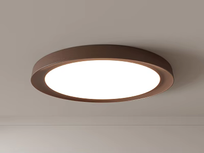 Modern Round Ceiling Light With Brown Frame White Illumination And Flush Mount Design 3d model