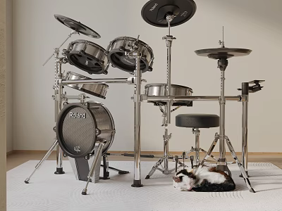 Modern Drum Set Musical Instrument With Cymbals And Cat Resting On Indoor Rug 3d model