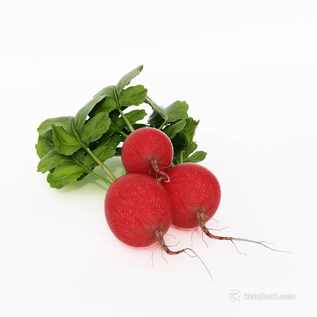 Three Fresh Red Radishes With Green Leaves On White Background 3d model 