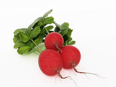 Three Fresh Red Radishes With Green Leaves On White Background 3d model